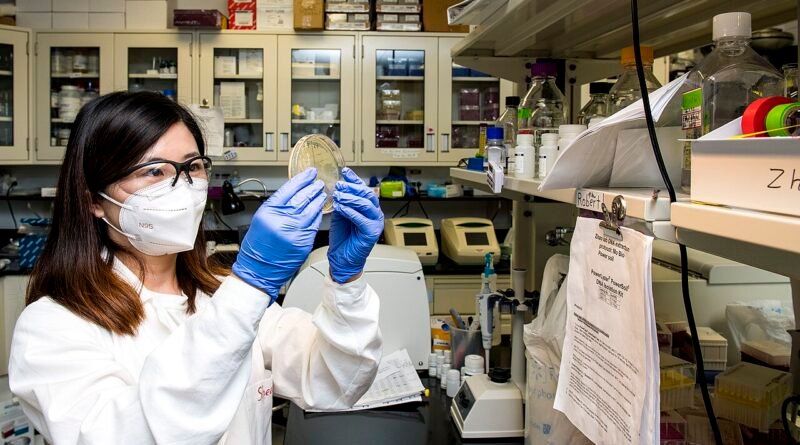 Ark. Agricultural Experiment Station, CC BY 2.0 , via Wikimedia Commons