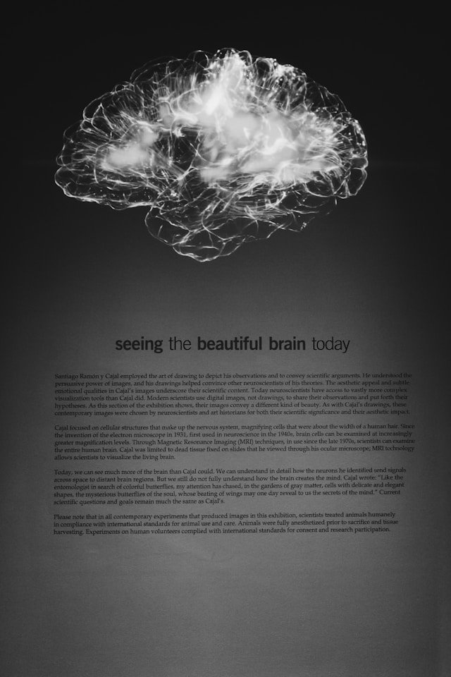 Labeled diagram showing cellular energy production and mitochondrial health inside the human brain