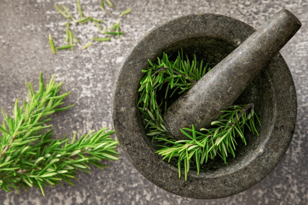 Fresh rosemary herb and brain health research illustration