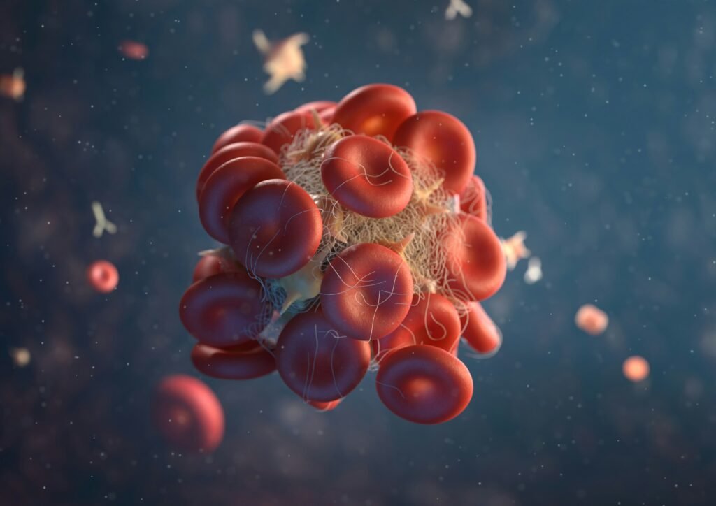 Medical illustration of fat cells in abdominal tissue, representing research into investigational treatments for localised fat reduction.