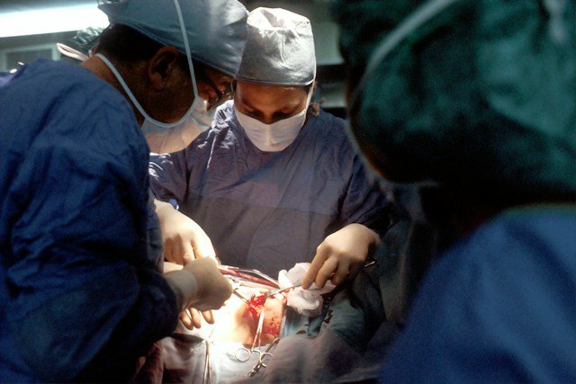 Medical team preparing an iPS cell-derived cardiac muscle sheet for regenerative heart failure treatment